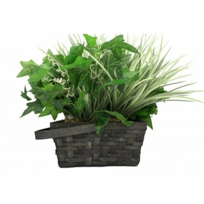 Xtremelife Wi-Fi Flower Plant Hidden Camera