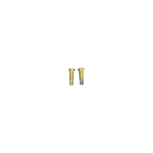 iPhone 12 Pro and 6s Plus Bottom Pentalobe Screws - White/Gold